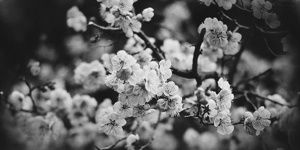 _podrostok_'s profile banner image
