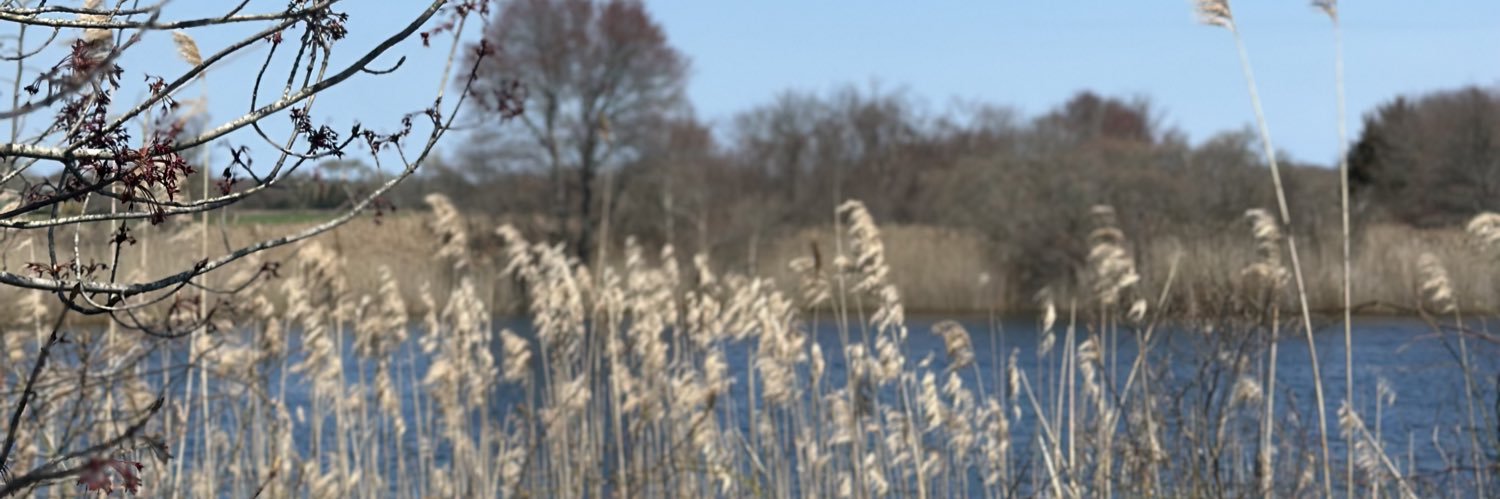 bugladyrn's profile banner image