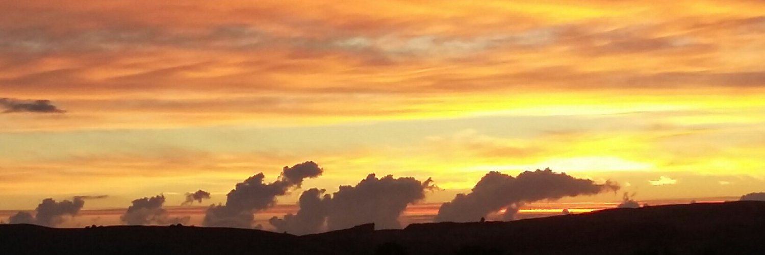 Dave Griffith banner