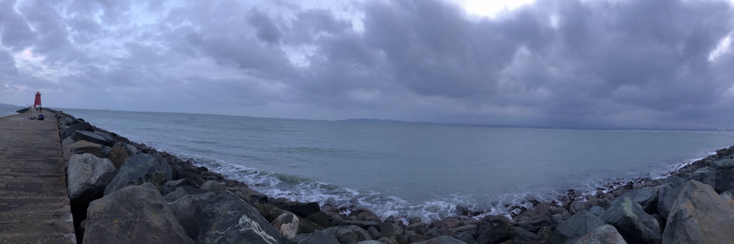 Jenny Fitzgerald banner