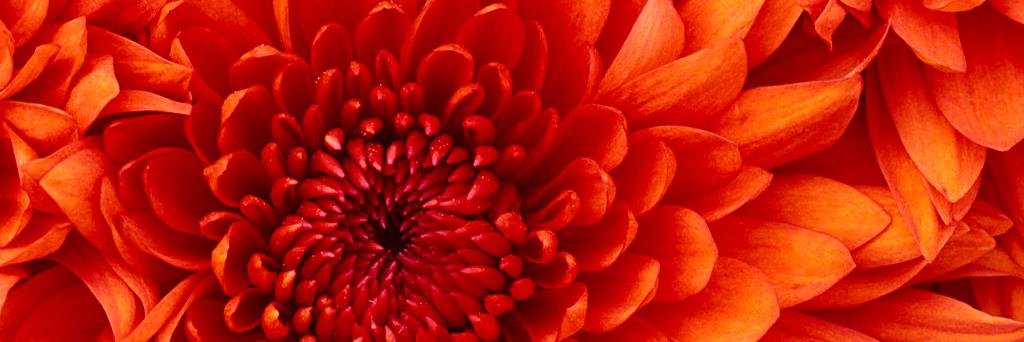 cherylherder1's profile banner image