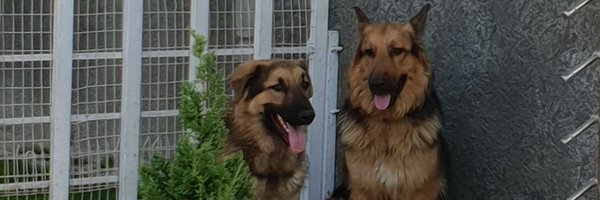 AppTayo Profile Banner