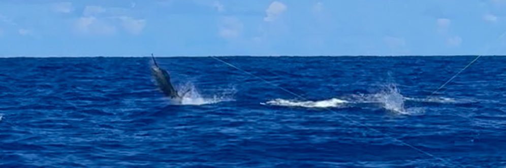 JCommiss's profile banner image