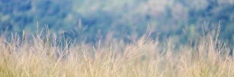 Plidpliw's profile banner image