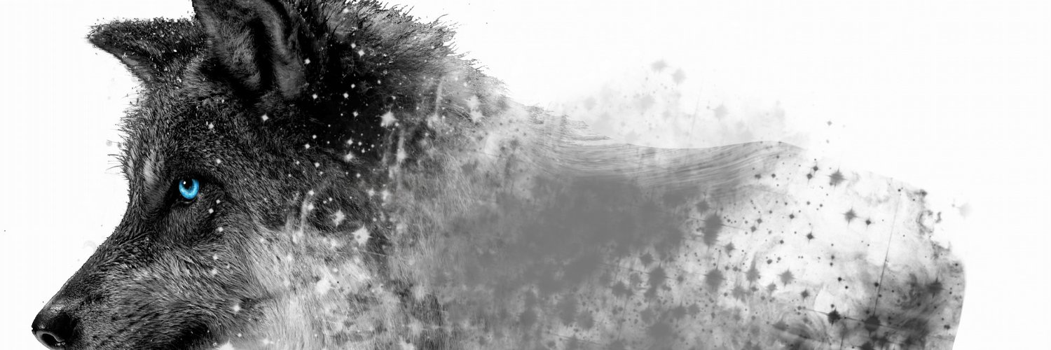 Were_WolfTB's profile banner image