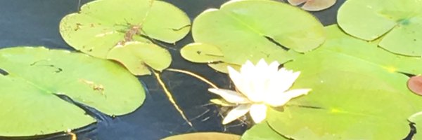 Atenge06 Profile Banner