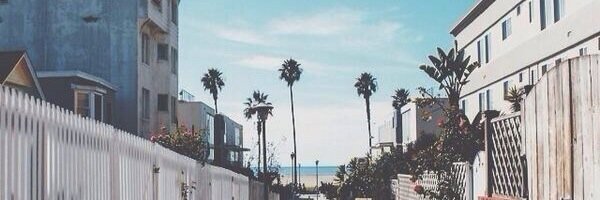 louisa. banner