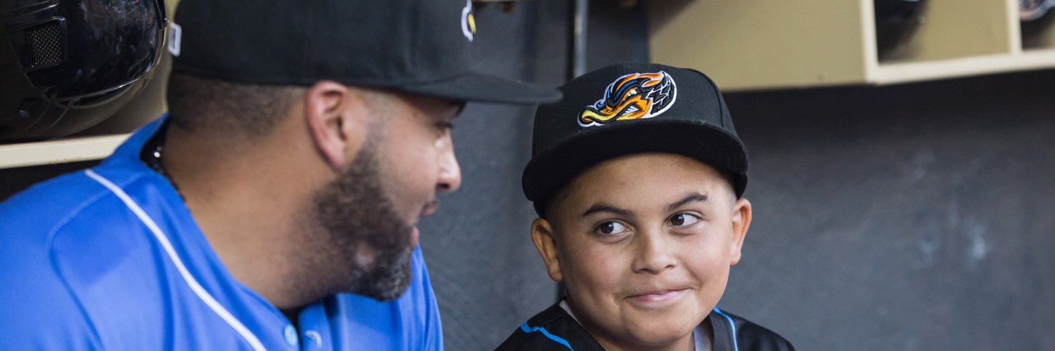 SantosBaseball's profile banner image