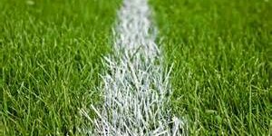 Transfer News Live  banner