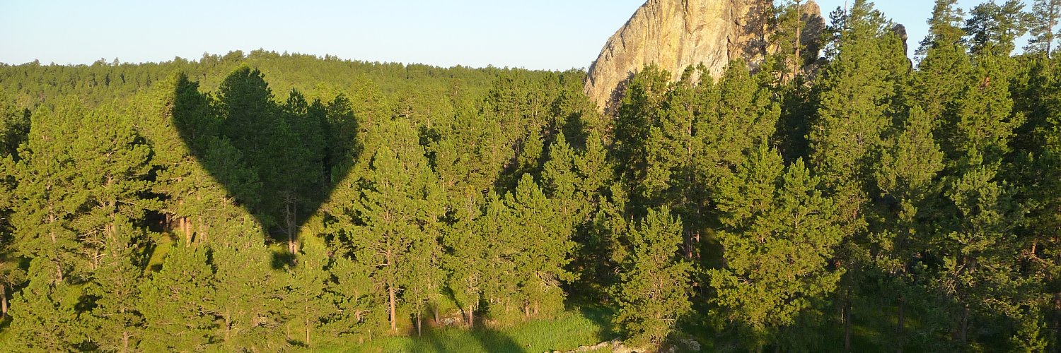debaroooni's profile banner image
