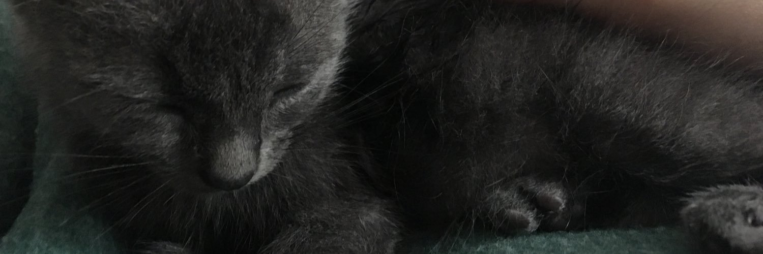 shadycray's profile banner image