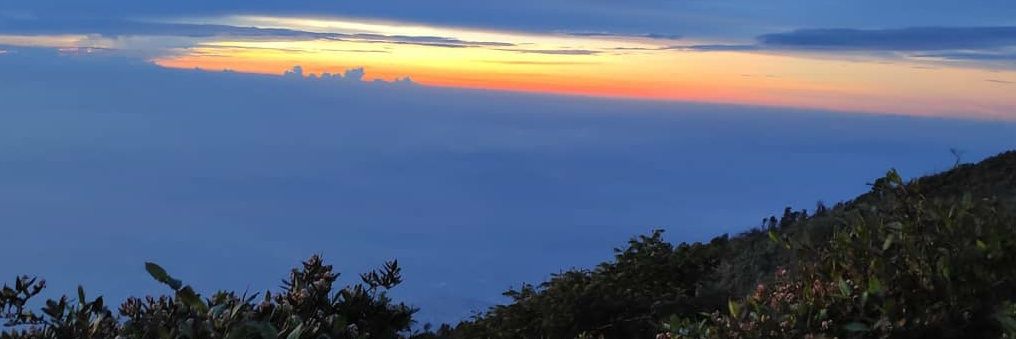 bleksambbath  banner