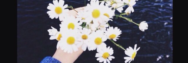 DyingDaisy_'s profile banner image