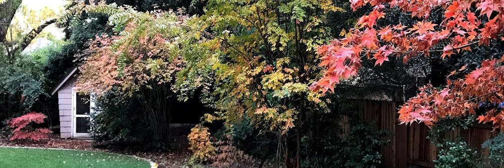 FavoriteJan's profile banner image