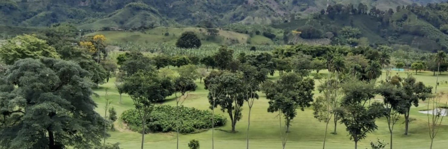 Julio Miguel Silva banner