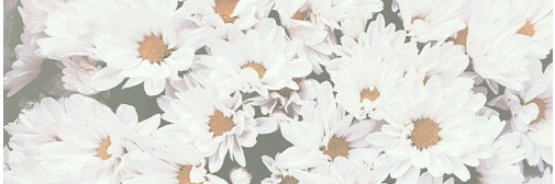 EDasyra's profile banner image