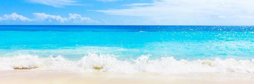 TimothyShanahan's profile banner image