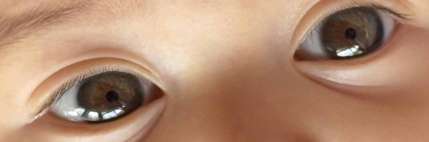 vanessapradap's profile banner image