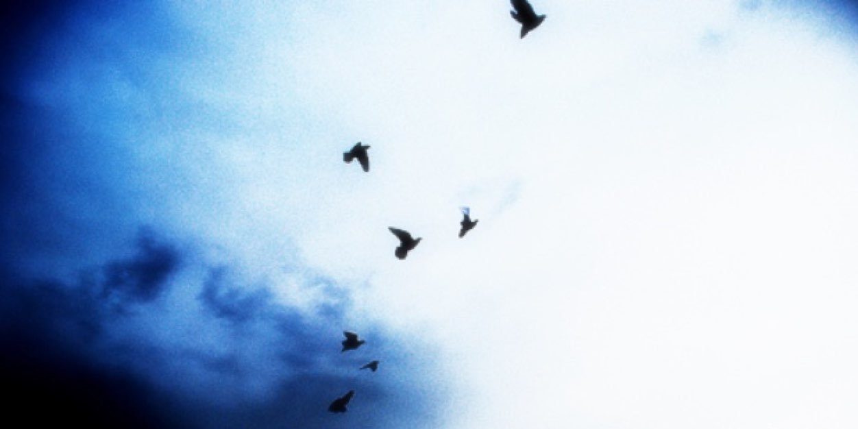 DanScottWFB's profile banner image