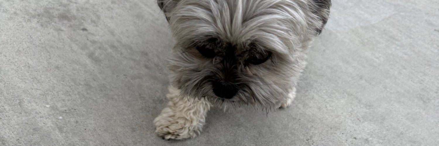 nathanolmedo's profile banner image