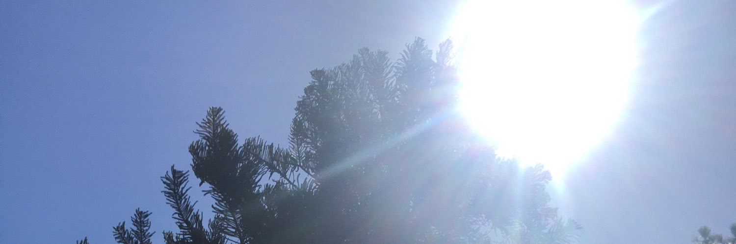 shulss_'s profile banner image