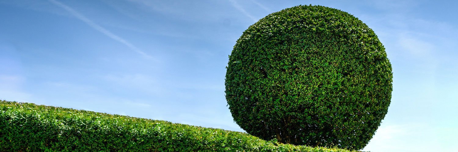 Global Life Focus banner