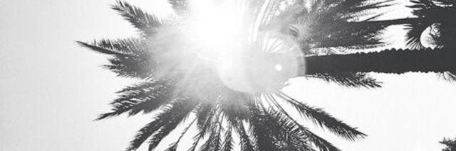 marroccoo_'s profile banner image