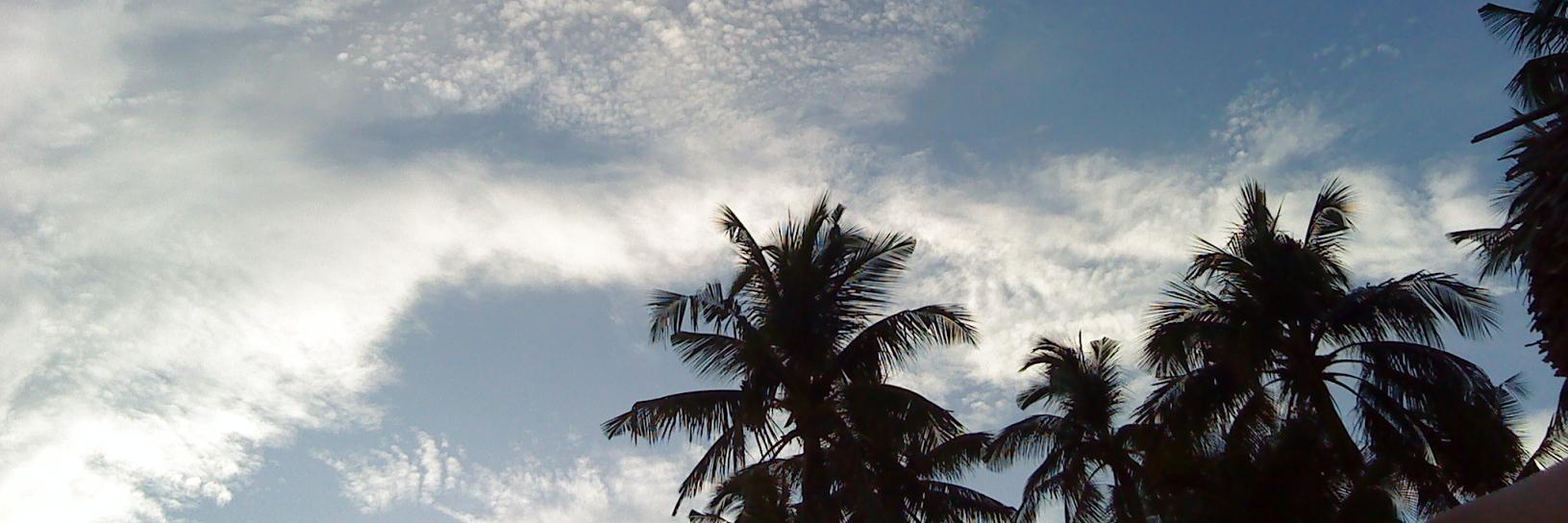 DesertIslandDID's profile banner image