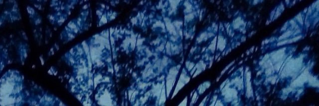 tormentaindomit's profile banner image