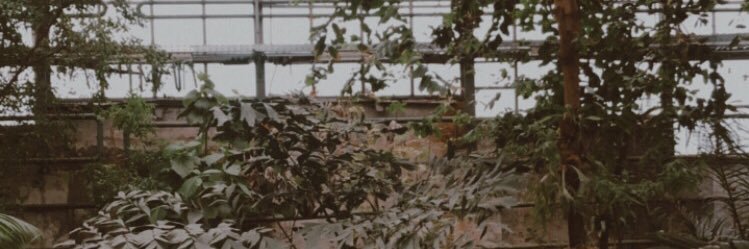 chriswithlovee's profile banner image