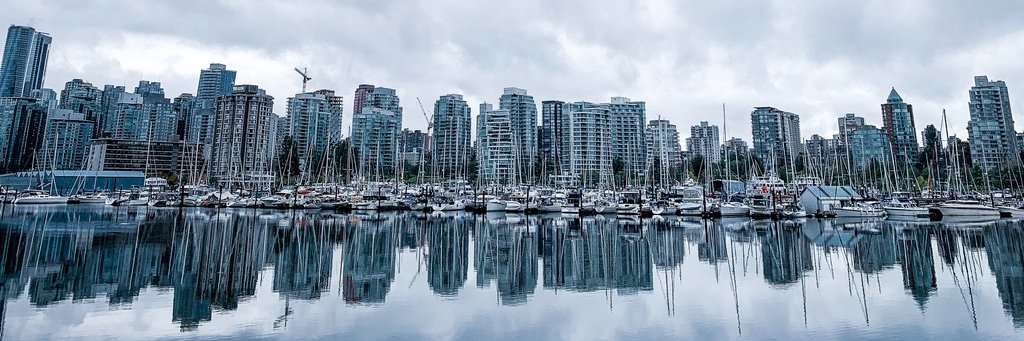 Hilary Elizabeth banner