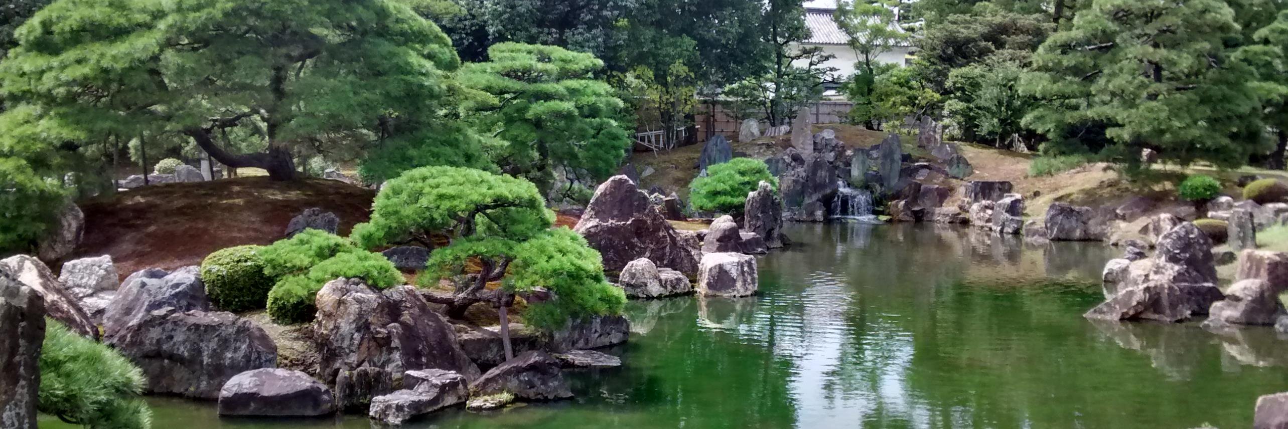 Dr Fi Crawford 🏴󠁧󠁢󠁷󠁬󠁳󠁿 banner