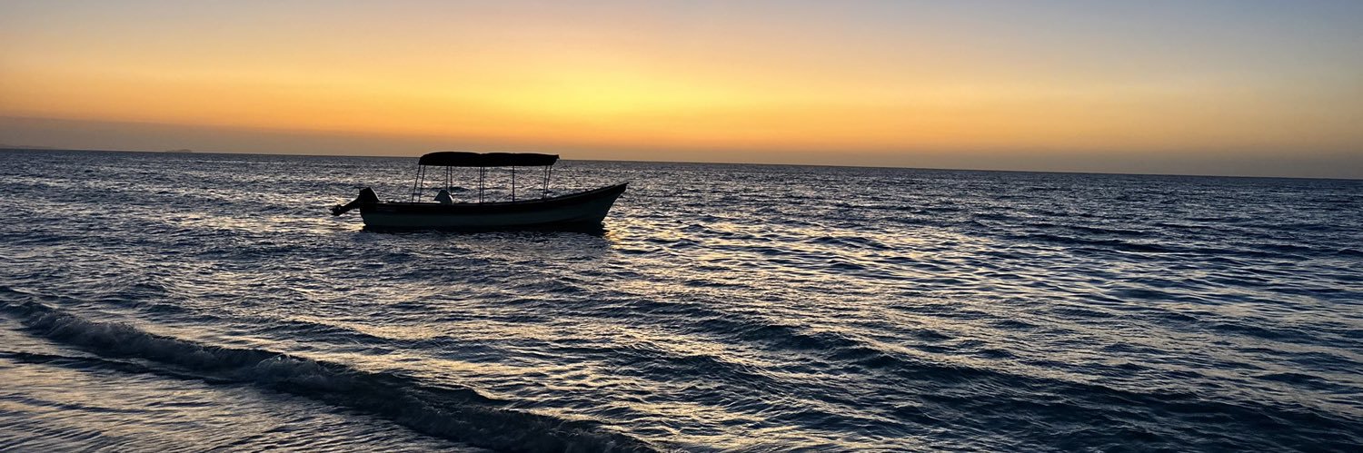 Santiago Guarin banner