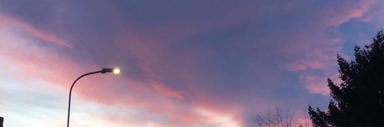 msoberholt's profile banner image