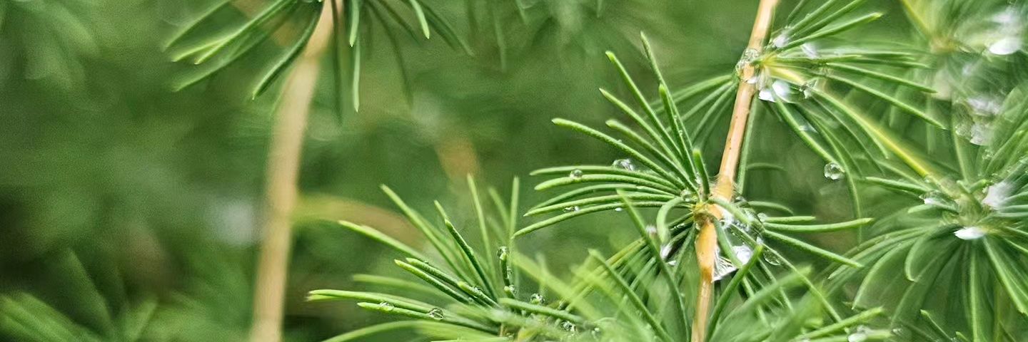 jean /jimjeans\ banner