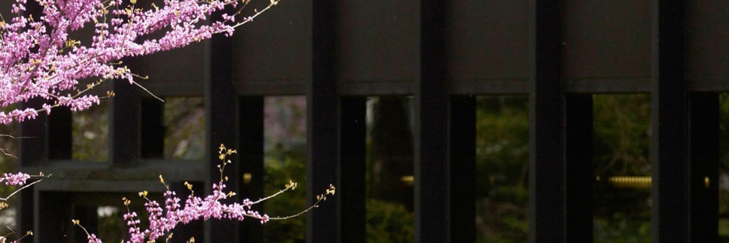 AllBookBot's profile banner image