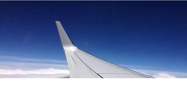 amermels's profile banner image