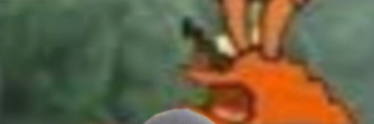 ZombieSlayer_11's profile banner image