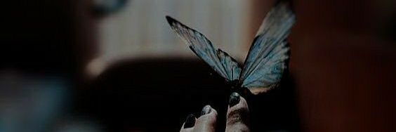 Estefanedias794's profile banner image