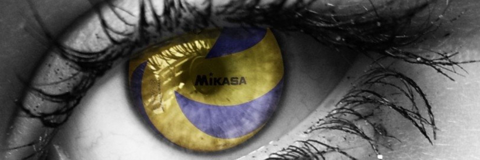 e_sadowska's profile banner image