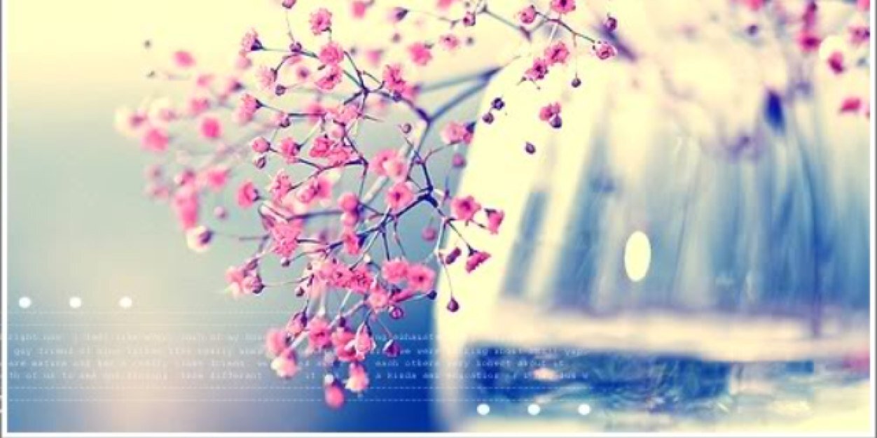 Emmyvdwal's profile banner image