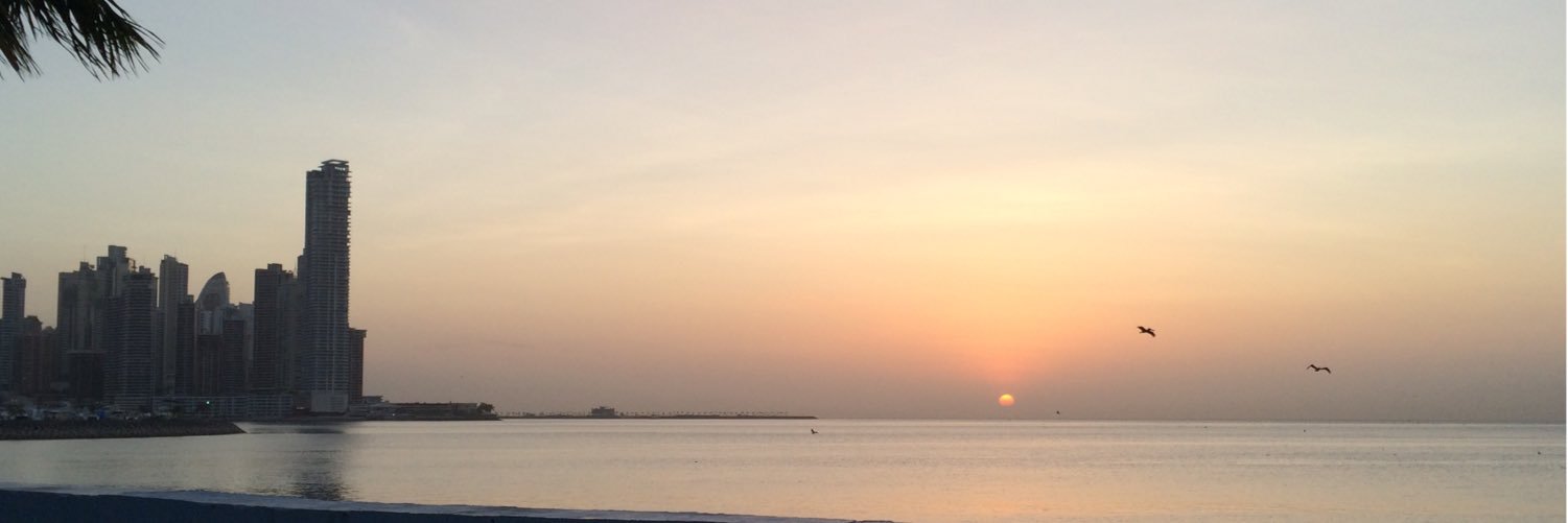 Galileo Solis banner