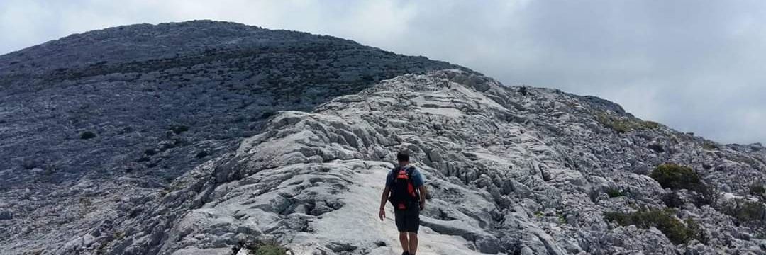 andresgbotaro's profile banner image