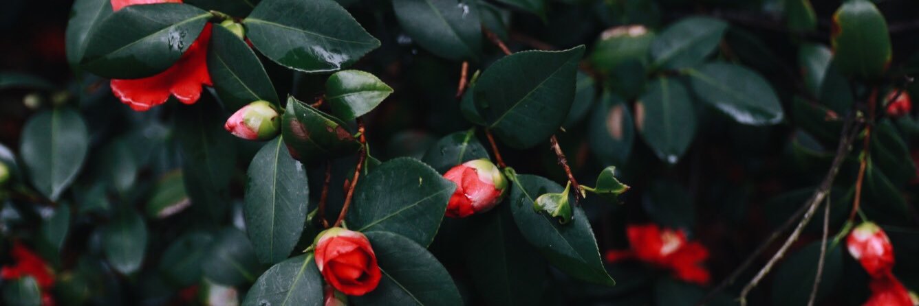 KimberlyFerne's profile banner image