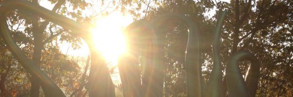 drmfreire Profile Banner