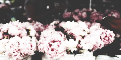 NHarperWFB's profile banner image
