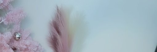 linzbehmer's profile banner image