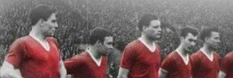 nutbert's profile banner image