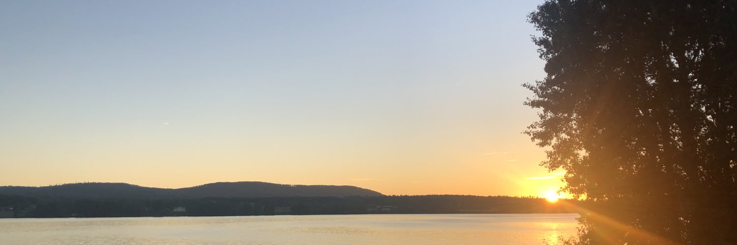 carljohanstorm's profile banner image