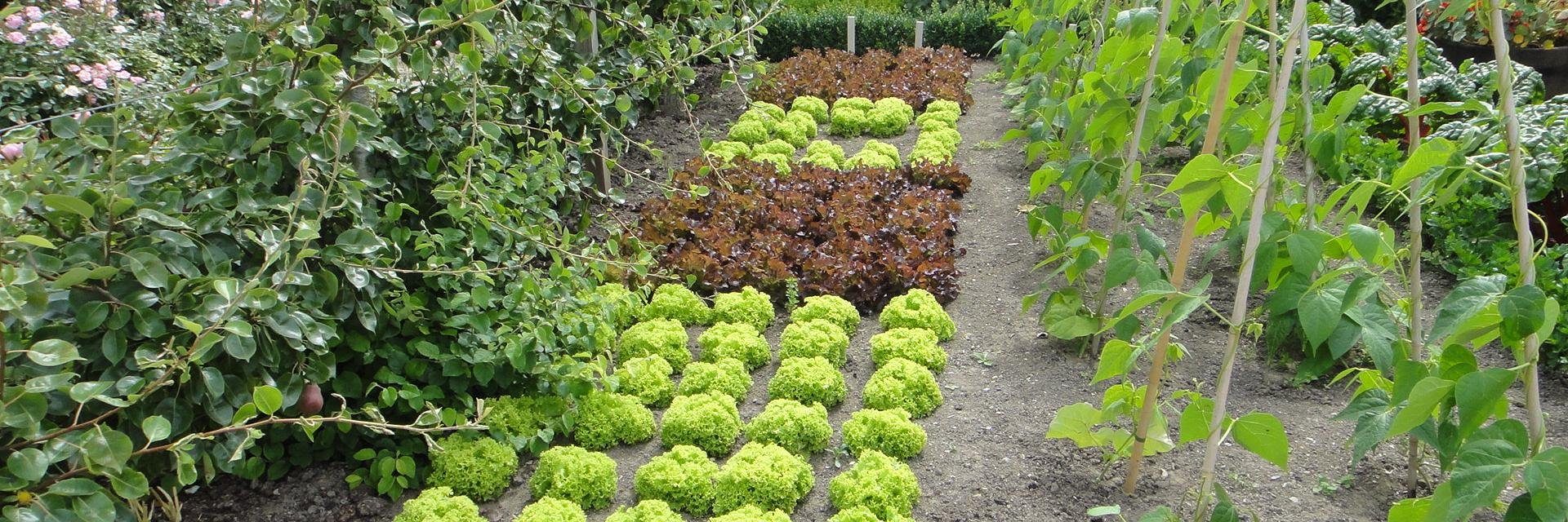 Purdue Home Hort banner